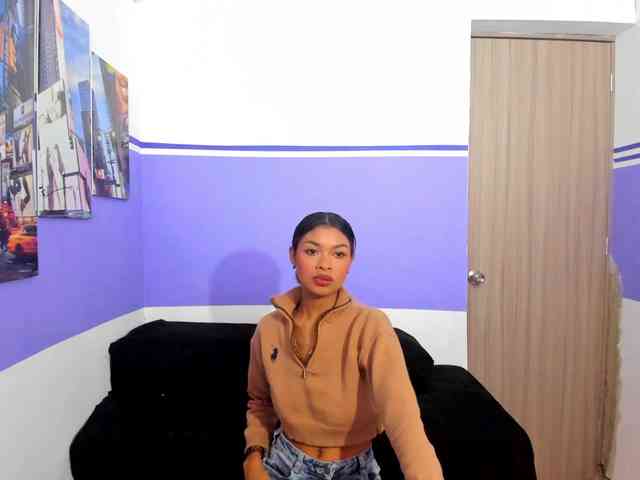 Perlast webcam