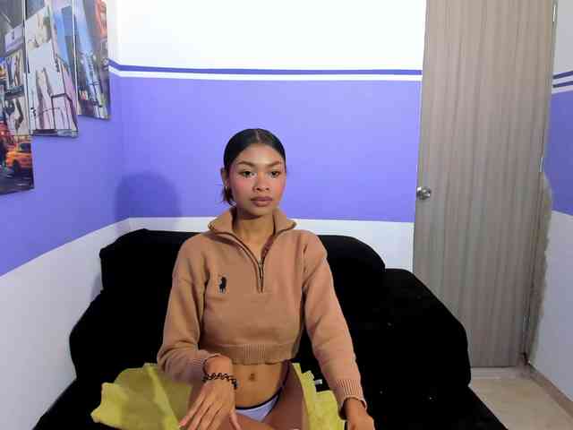 Perlast webcam