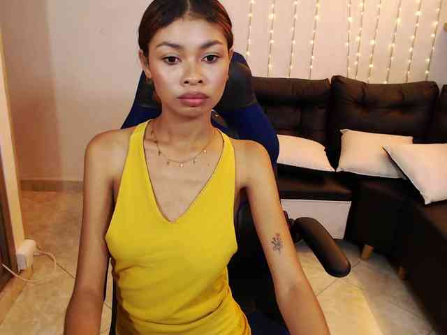 Perlast webcam