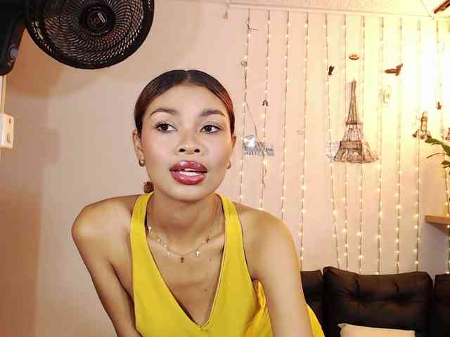 Perlast webcam