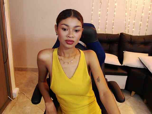 Perlast webcam