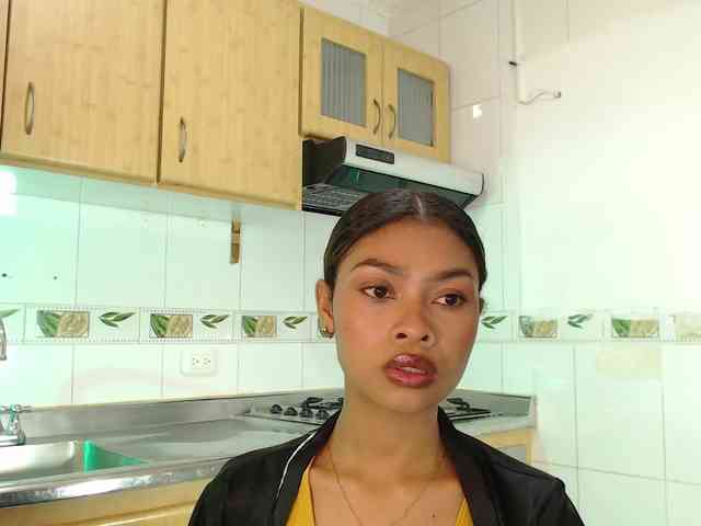 Perlast webcam