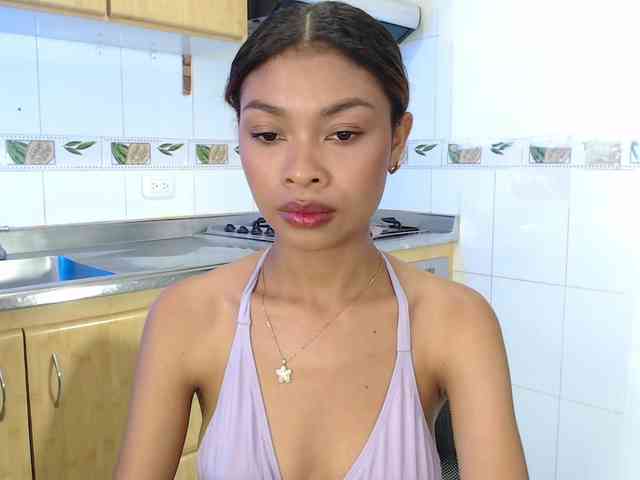 Perlast webcam