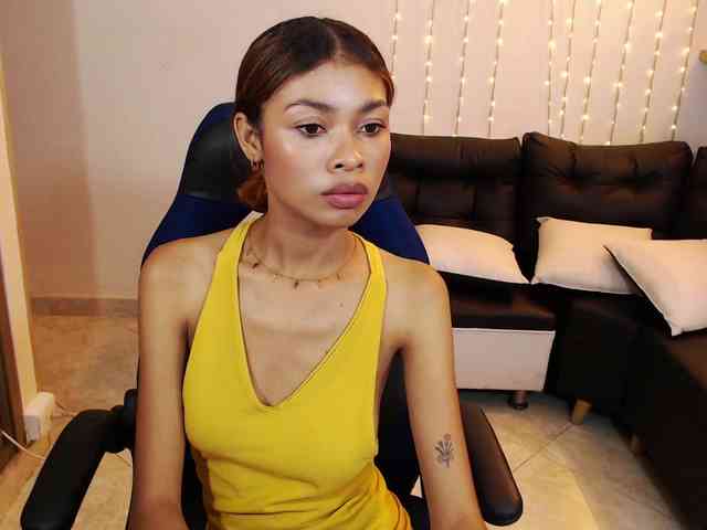 Perlast webcam