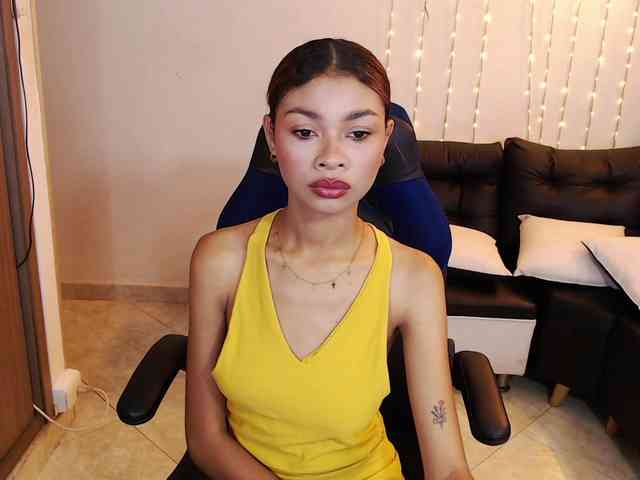 Perlast webcam