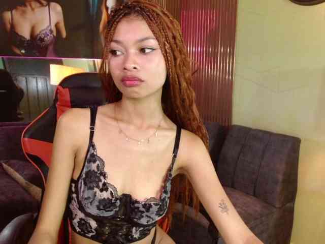 Perlast webcam