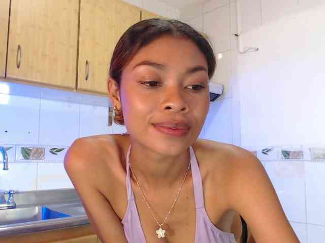 Perlast webcam