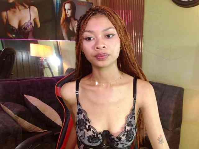 Perlast webcam