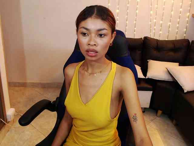 Perlast webcam