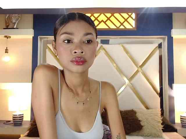 Perlast webcam