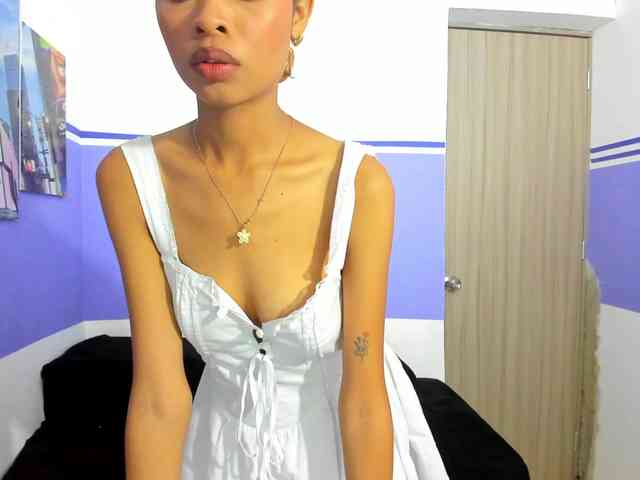 Perlast webcam