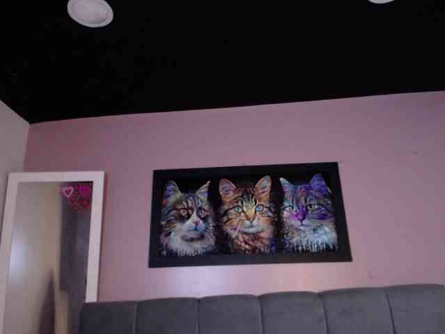 tiiny-emilly tiiny-emilly