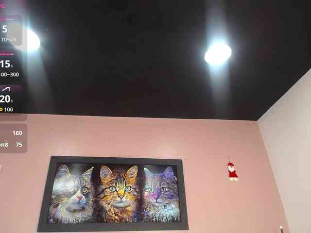 tiiny-emilly Live Webcam on BongaCams