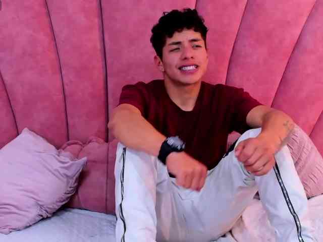 anny-max-vc webcam