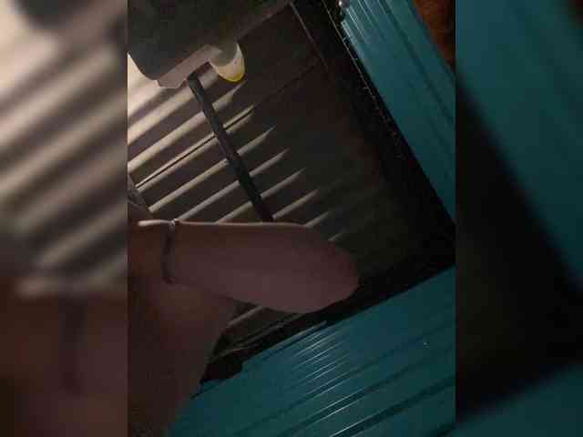 lina2000a webcam