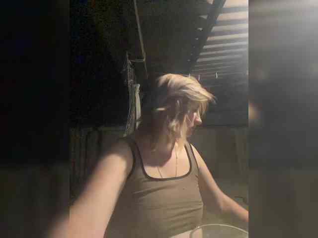 lina2000a webcam