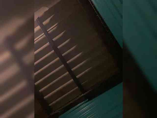 lina2000a webcam