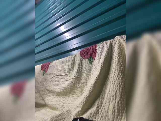 lina2000a webcam