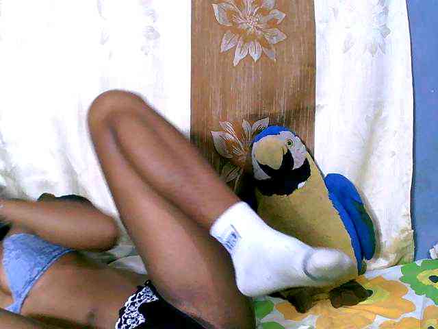 Sambolahh webcam