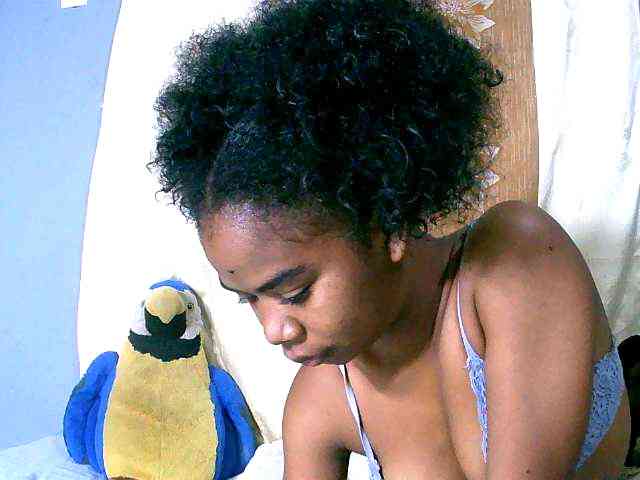 Sambolahh webcam