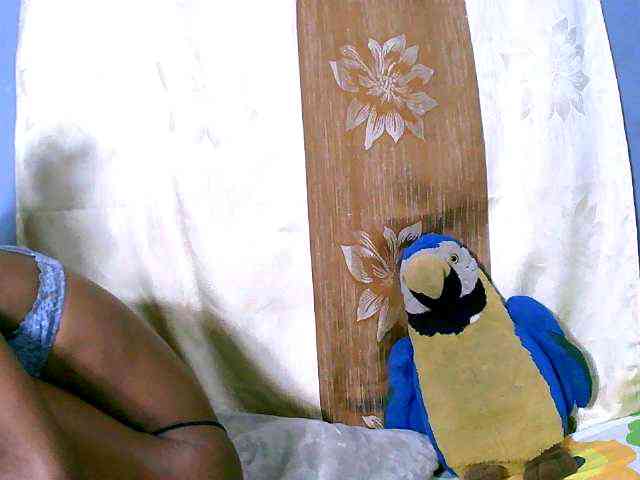 Sambolahh webcam