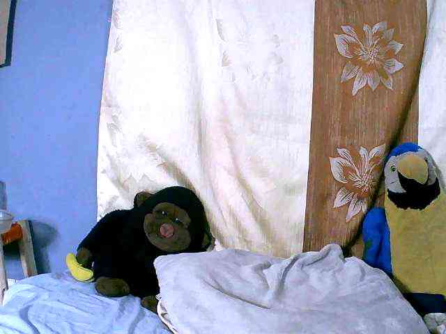 Sambolahh webcam
