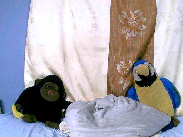 Sambolahh webcam