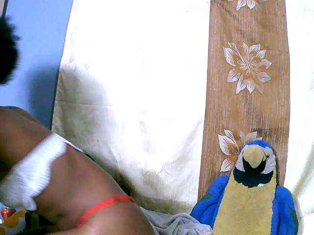 Sambolahh webcam