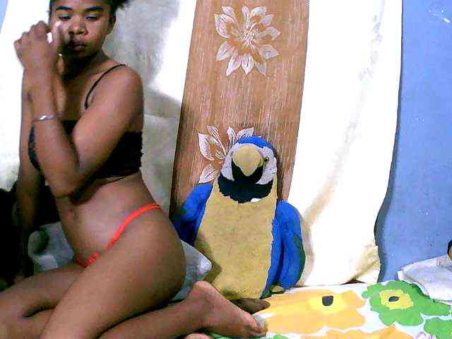 Sambolahh webcam