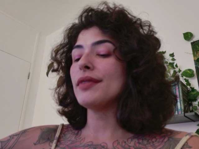 Preview of talimajesty