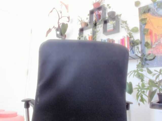 Preview of talimajesty