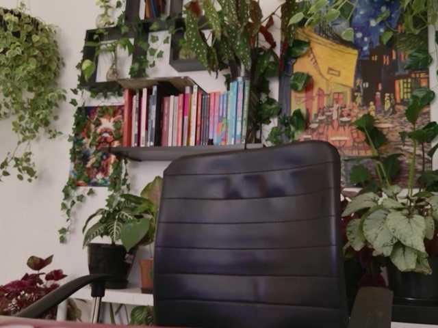 Preview of talimajesty