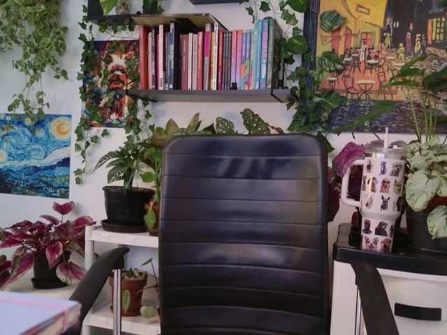 Preview of talimajesty