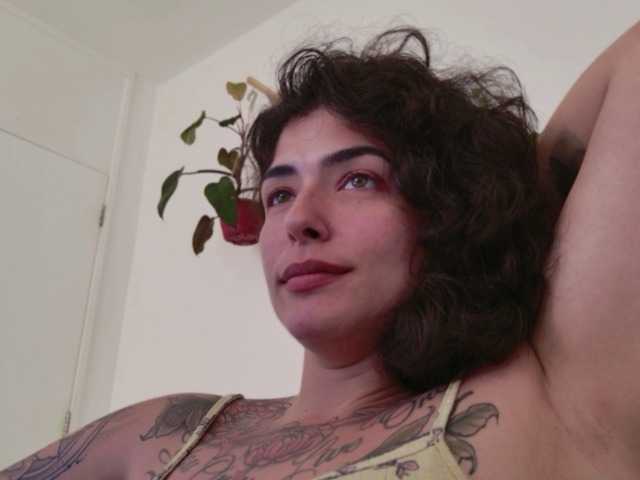 Preview of talimajesty