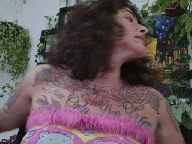 Preview of talimajesty