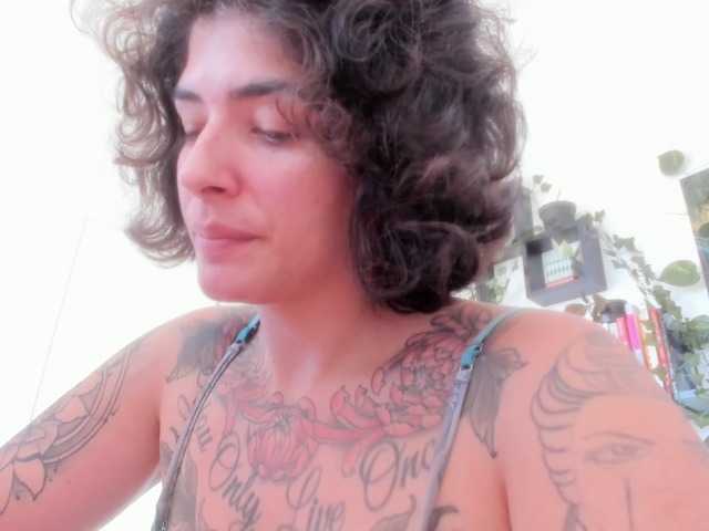 Preview of talimajesty