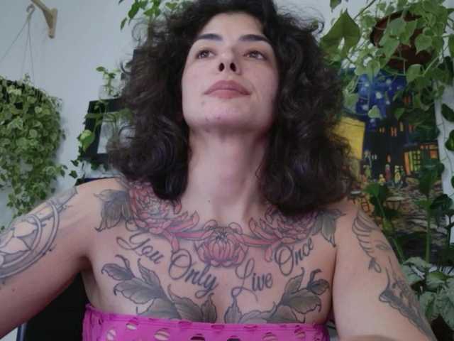 Preview of talimajesty