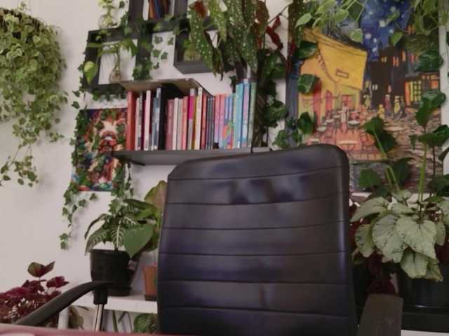 Preview of talimajesty