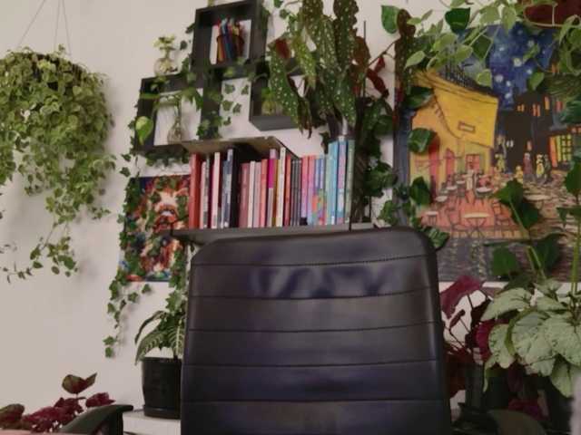 Preview of talimajesty