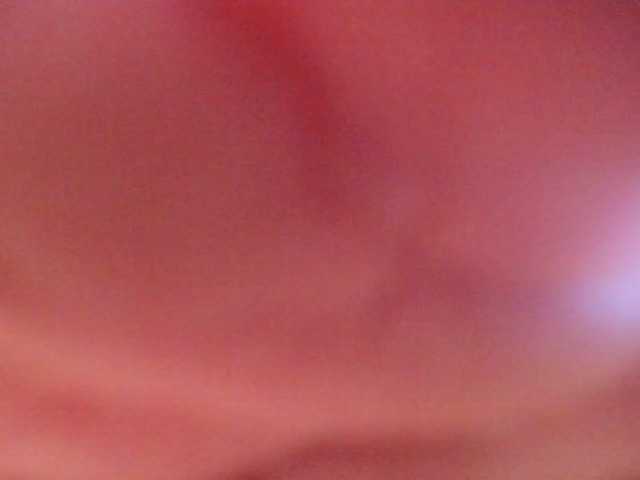 Preview of talimajesty