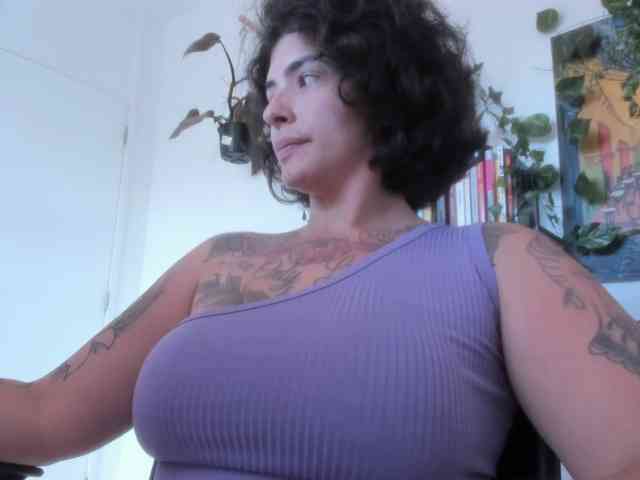 talimajesty webcam