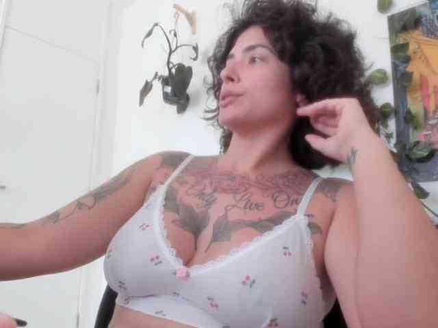 talimajesty webcam