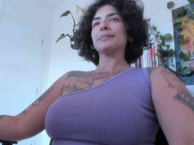 talimajesty webcam