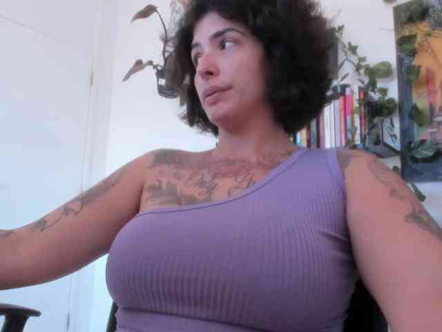 talimajesty webcam