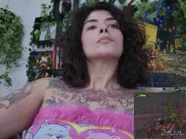 talimajesty webcam