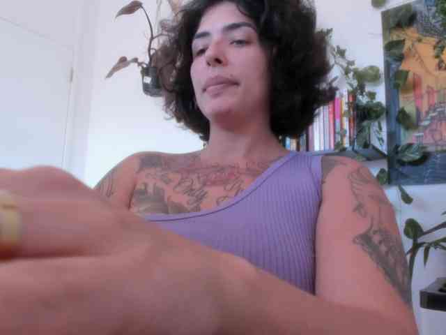 talimajesty webcam