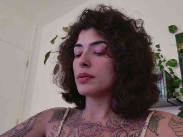 talimajesty webcam