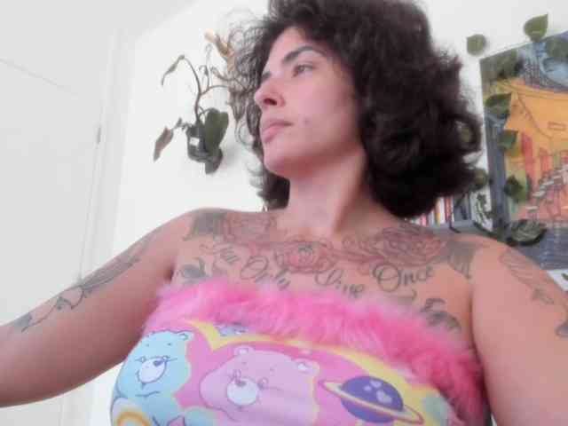 talimajesty webcam