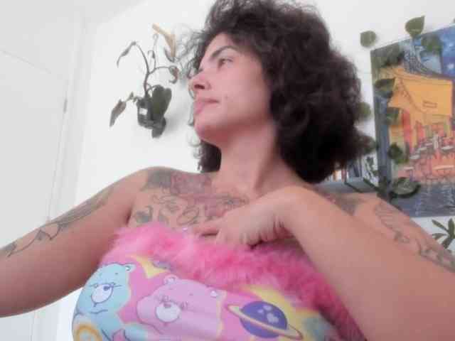 talimajesty webcam