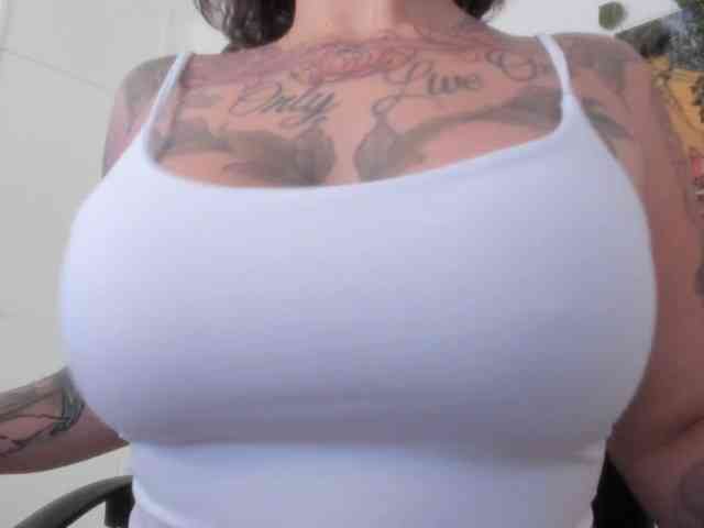 talimajesty webcam